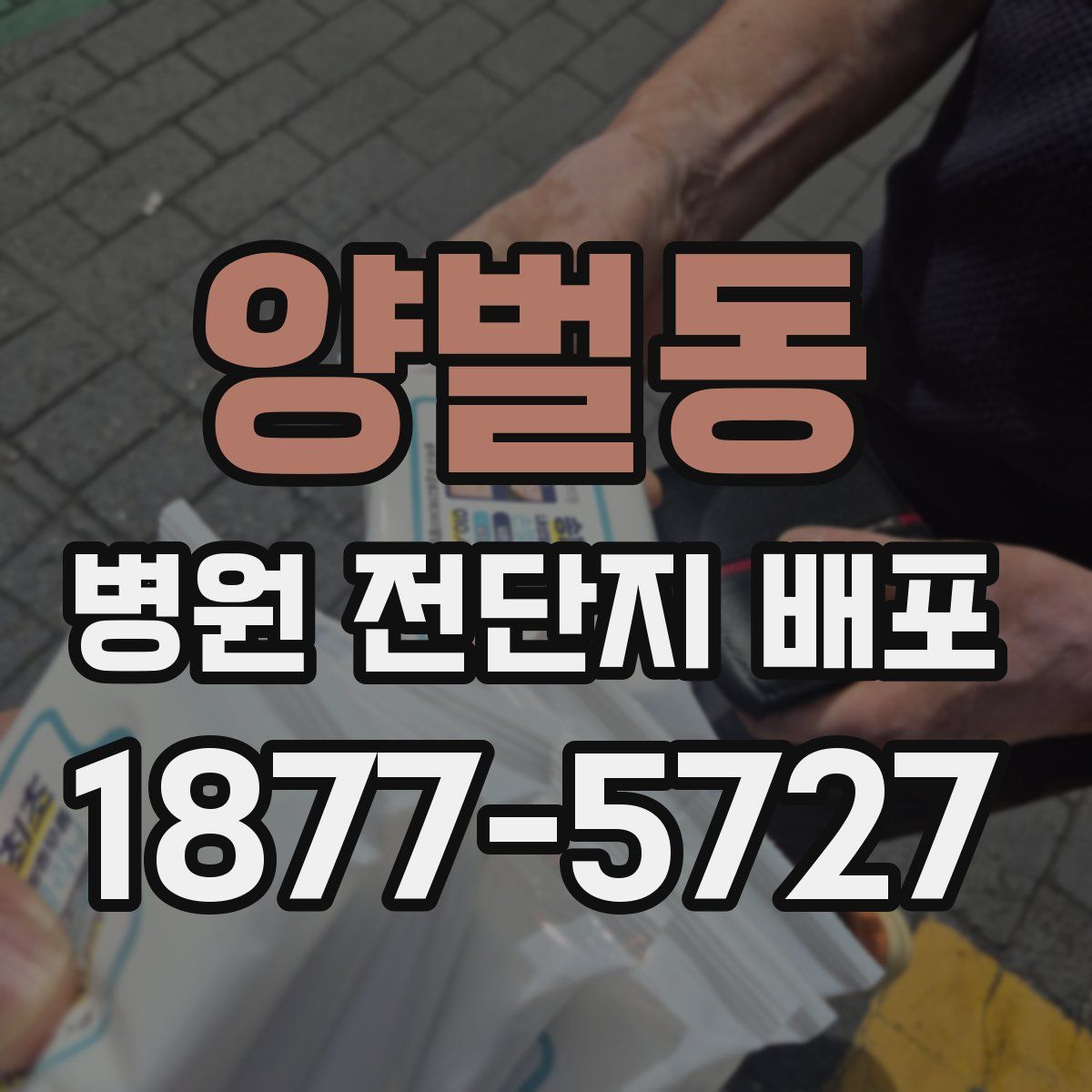 양벌동 병원 전단지 배포