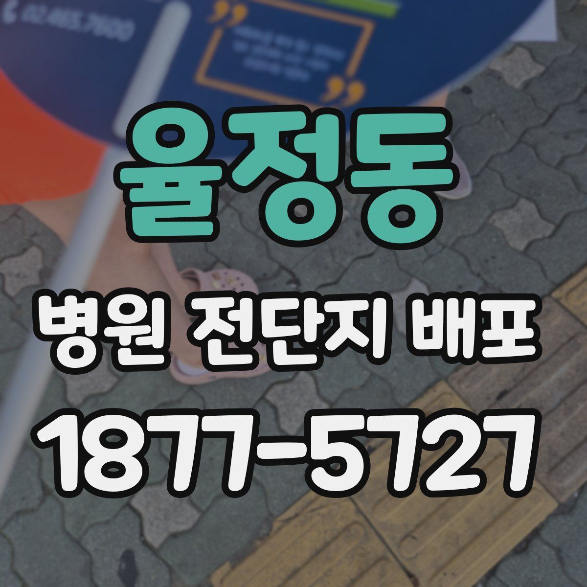 율정동 병원 전단지 배포