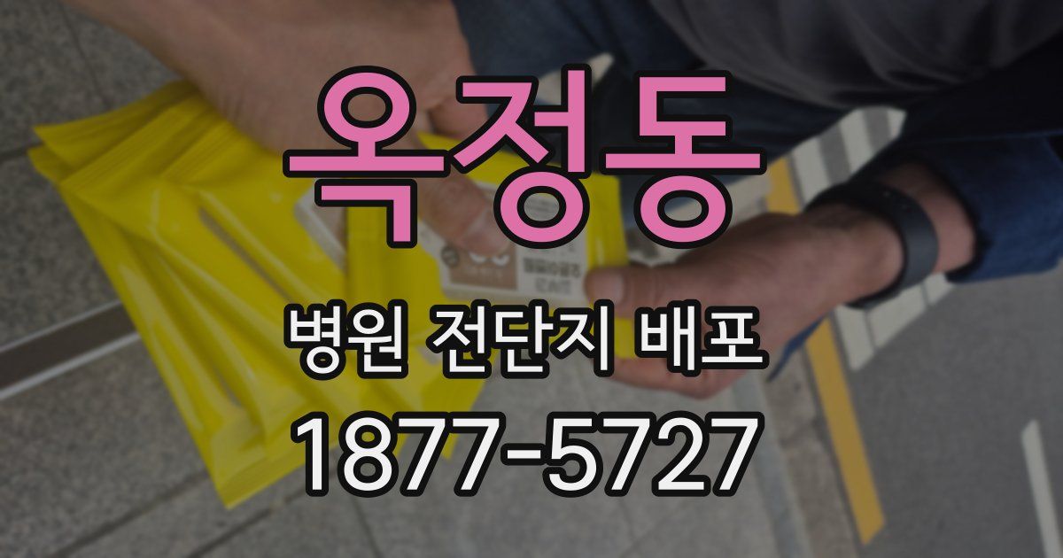 옥정동 병원 전단지 배포