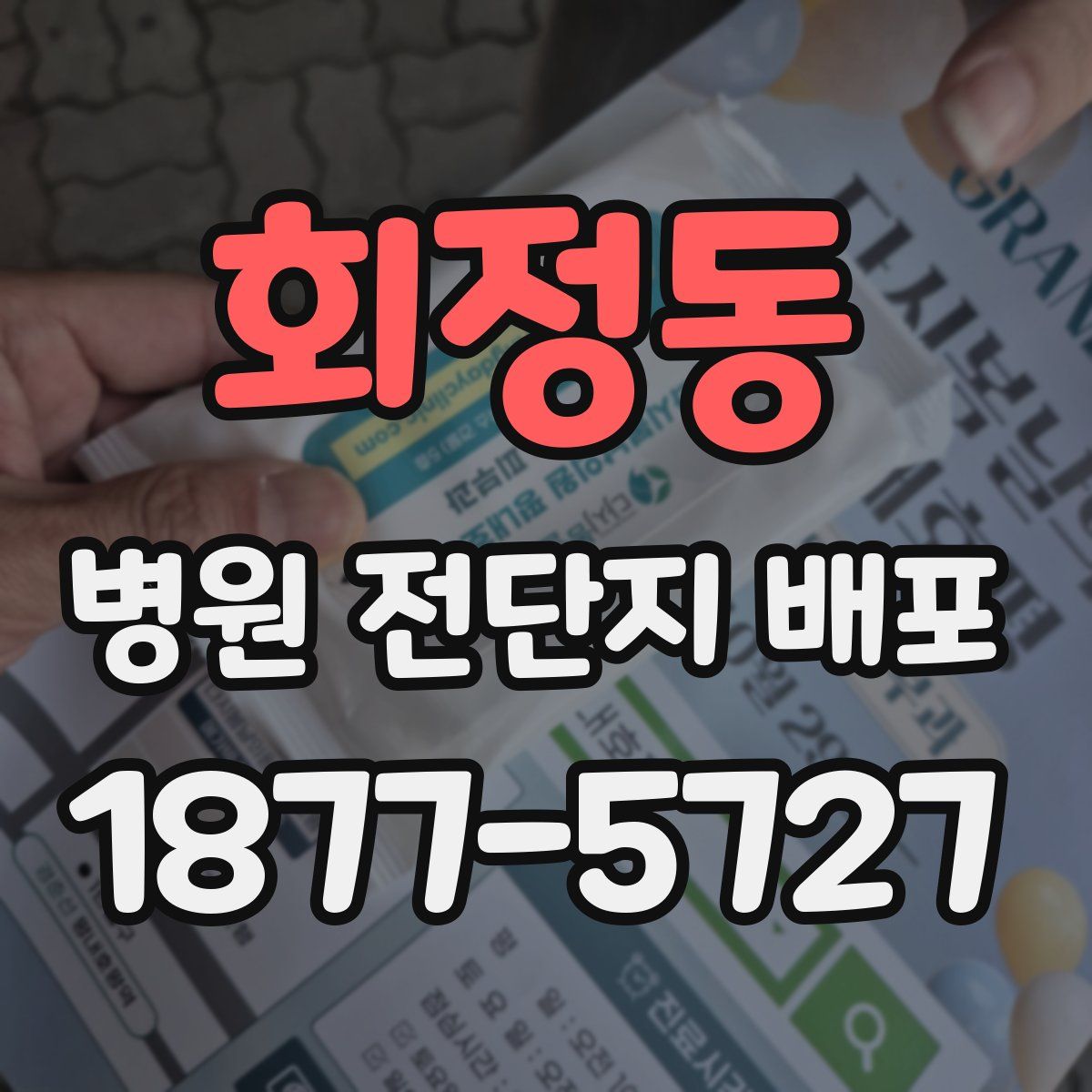 회정동 병원 전단지 배포