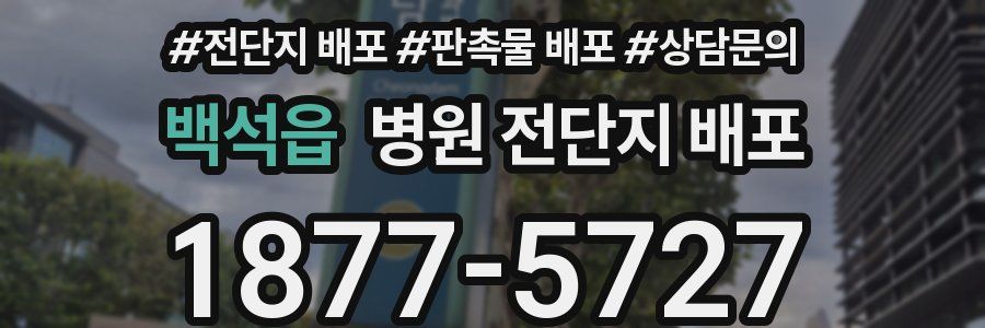 백석읍 병원 전단지 배포