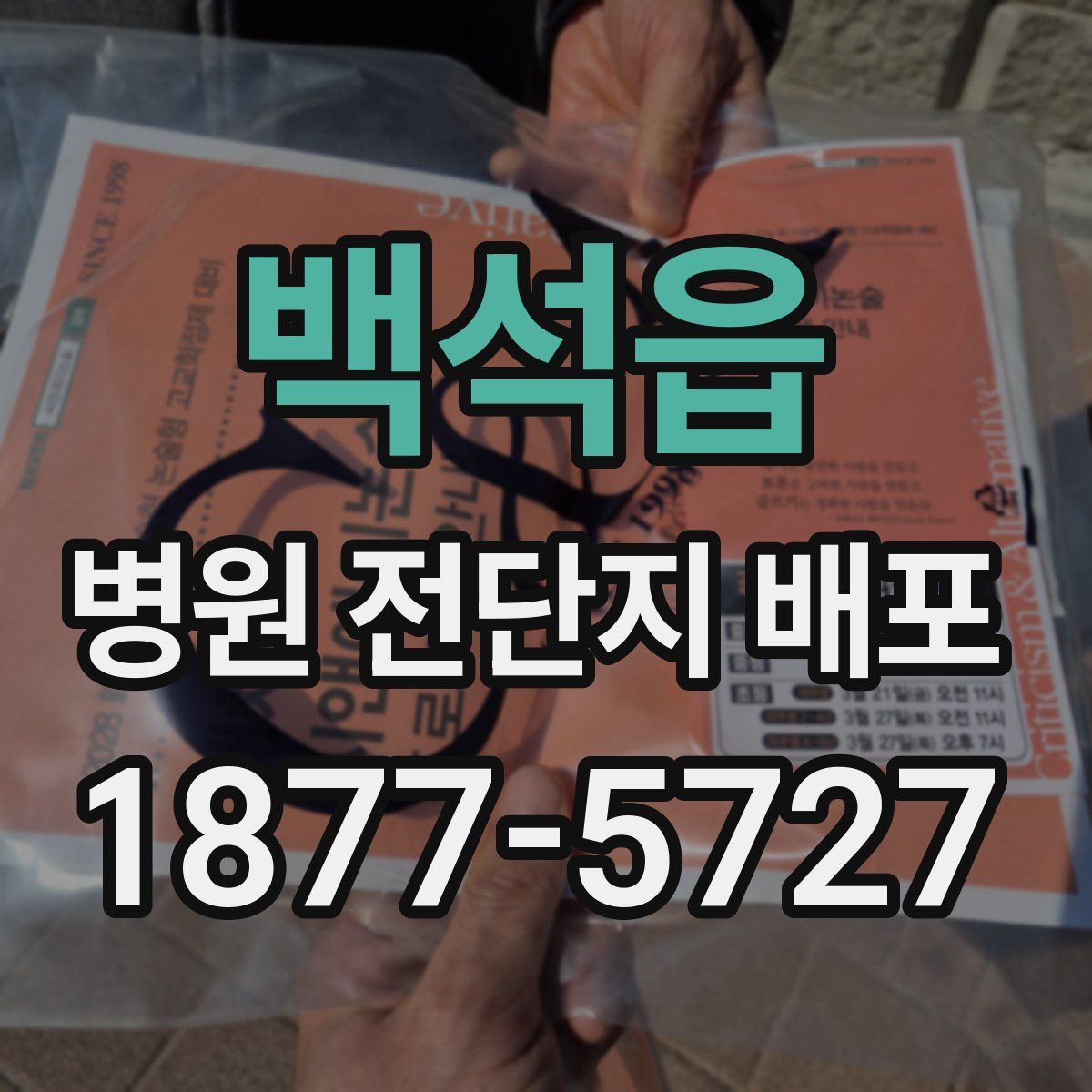 백석읍 병원 전단지 배포