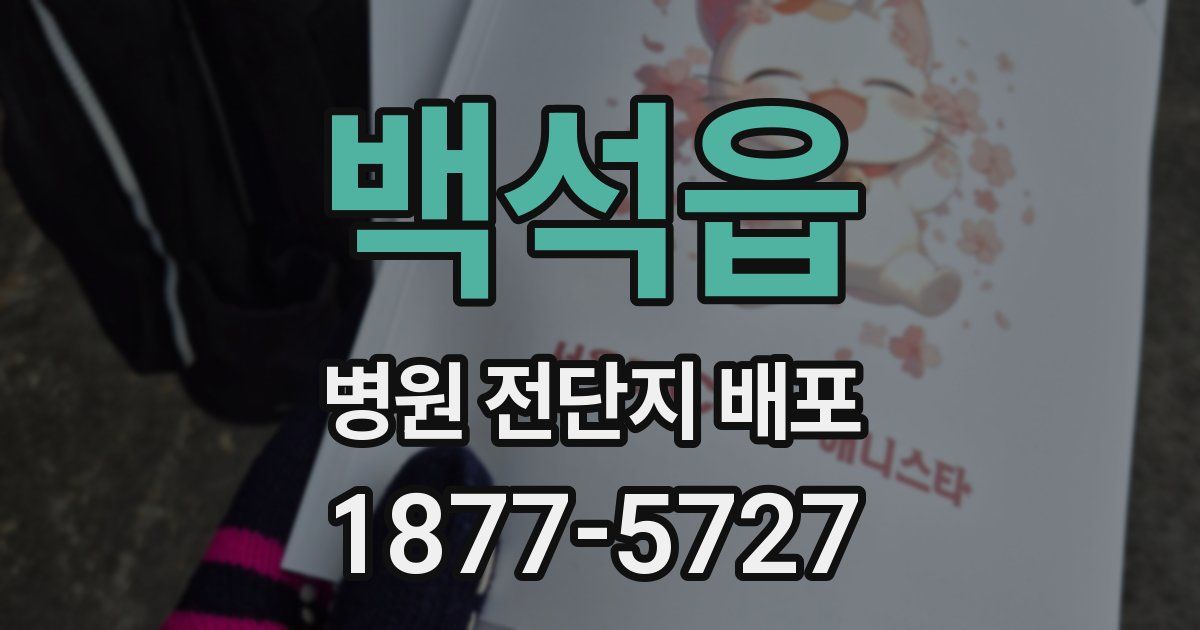 백석읍 병원 전단지 배포