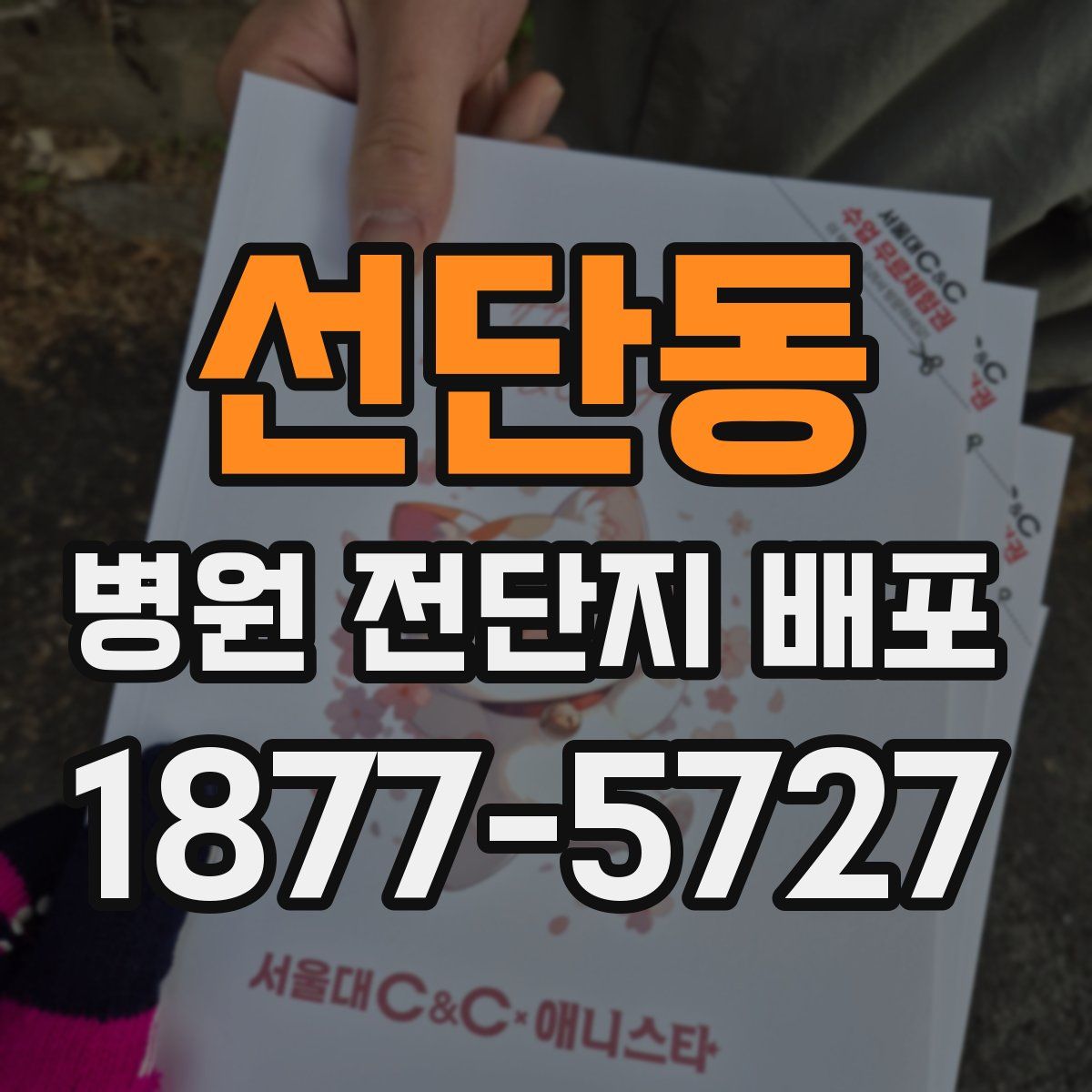 선단동 병원 전단지 배포