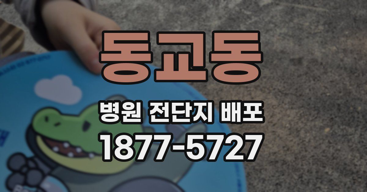 동교동 병원 전단지 배포