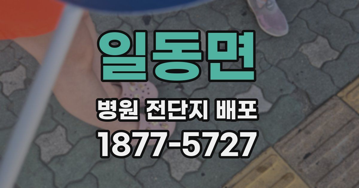 일동면 병원 전단지 배포