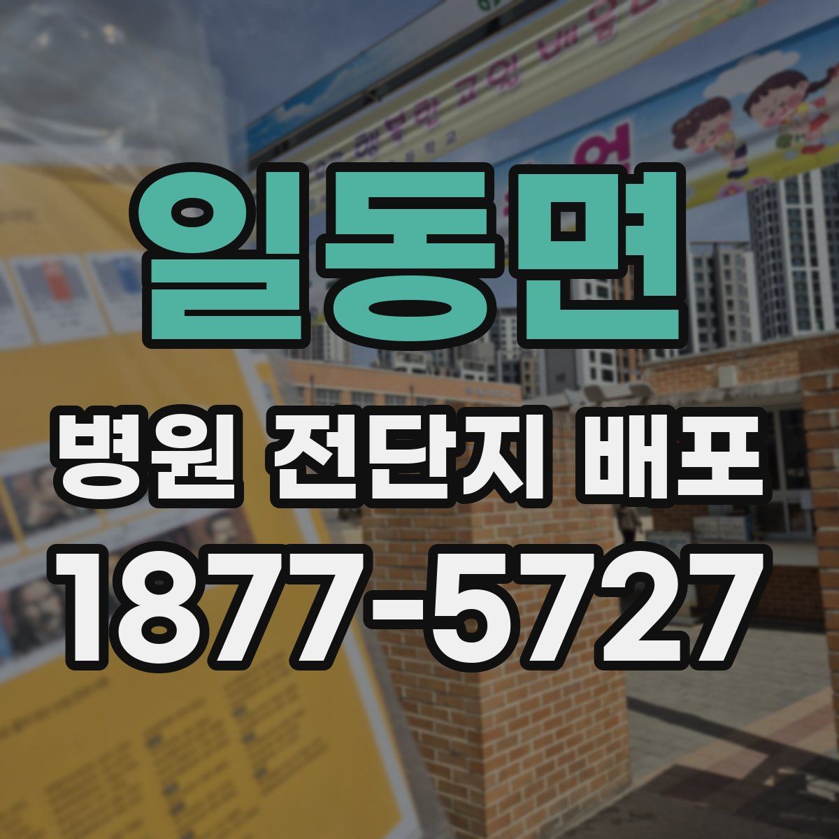 일동면 병원 전단지 배포