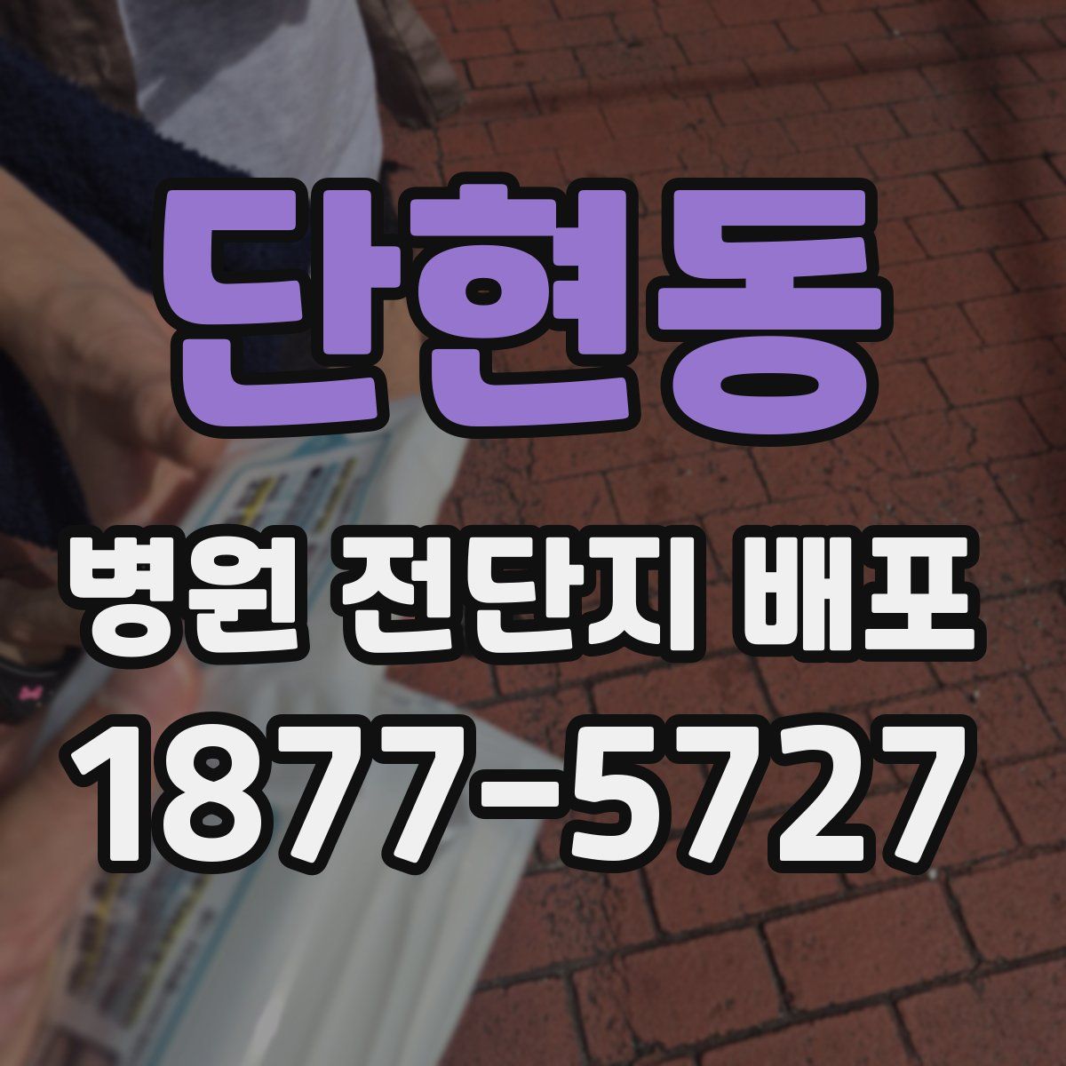 단현동 병원 전단지 배포