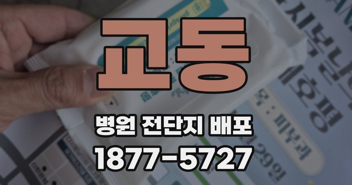 교동 병원 전단지 배포