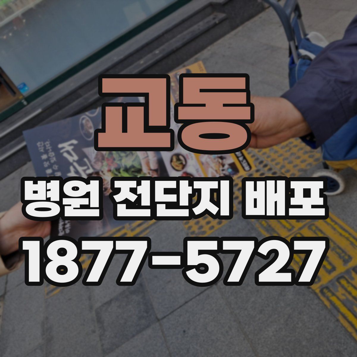 교동 병원 전단지 배포