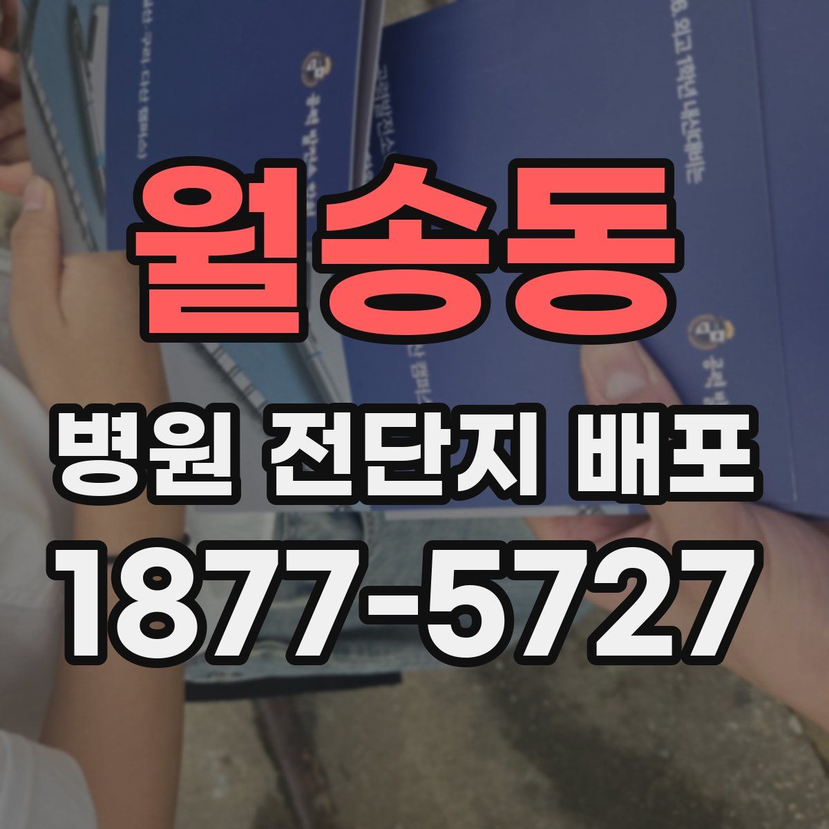 월송동 병원 전단지 배포