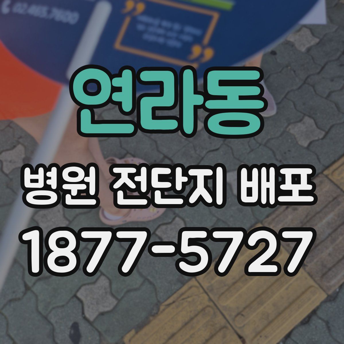 연라동 병원 전단지 배포