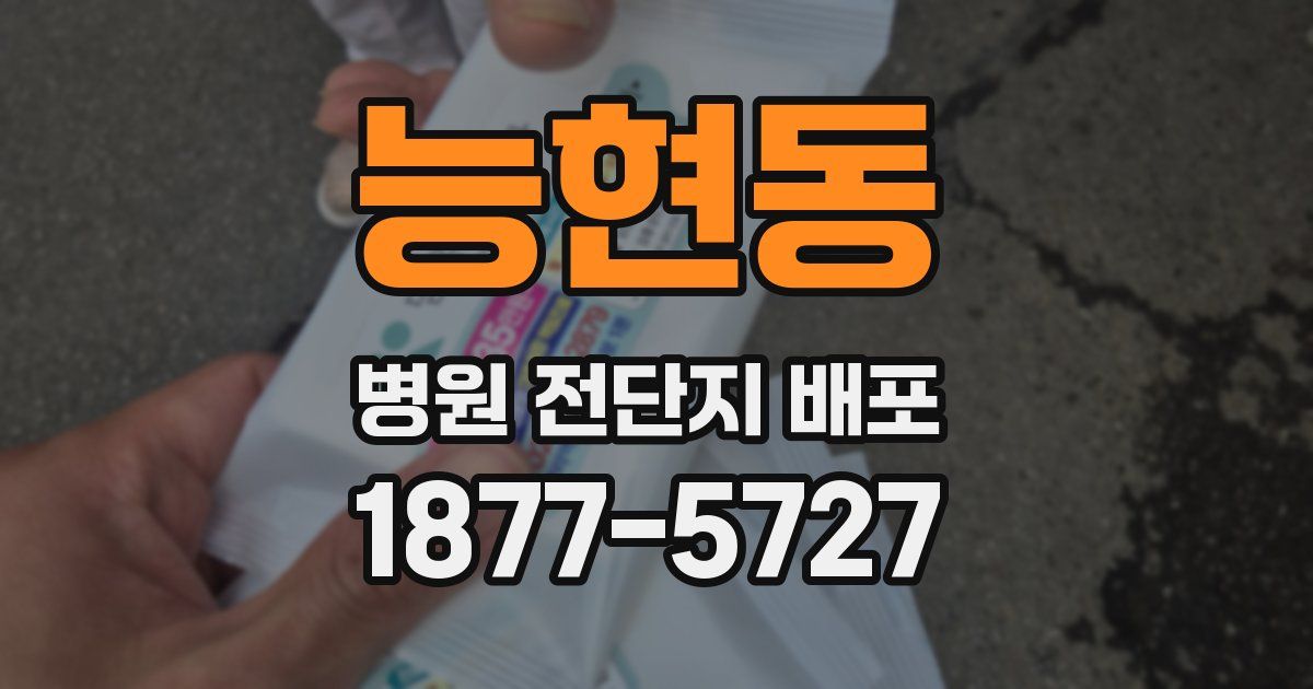 능현동 병원 전단지 배포