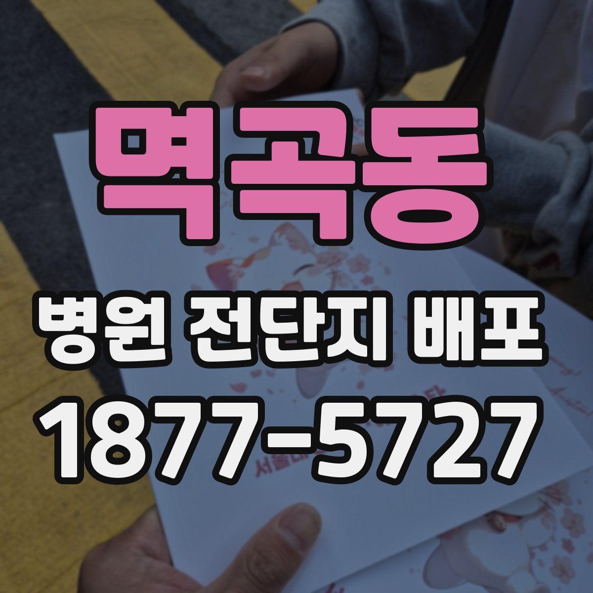 멱곡동 병원 전단지 배포