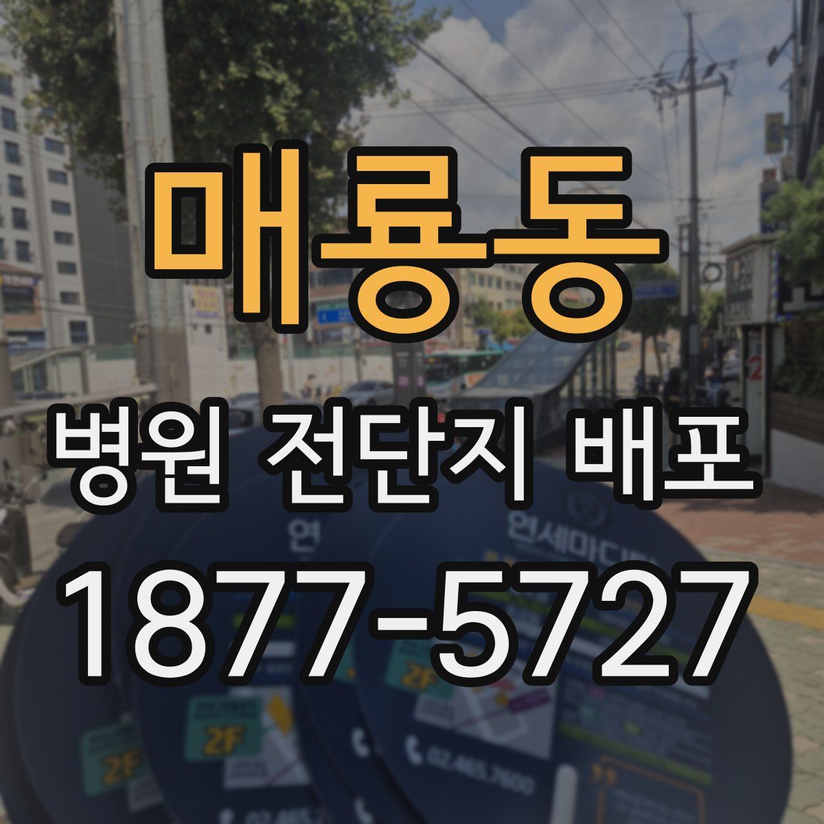 매룡동 병원 전단지 배포