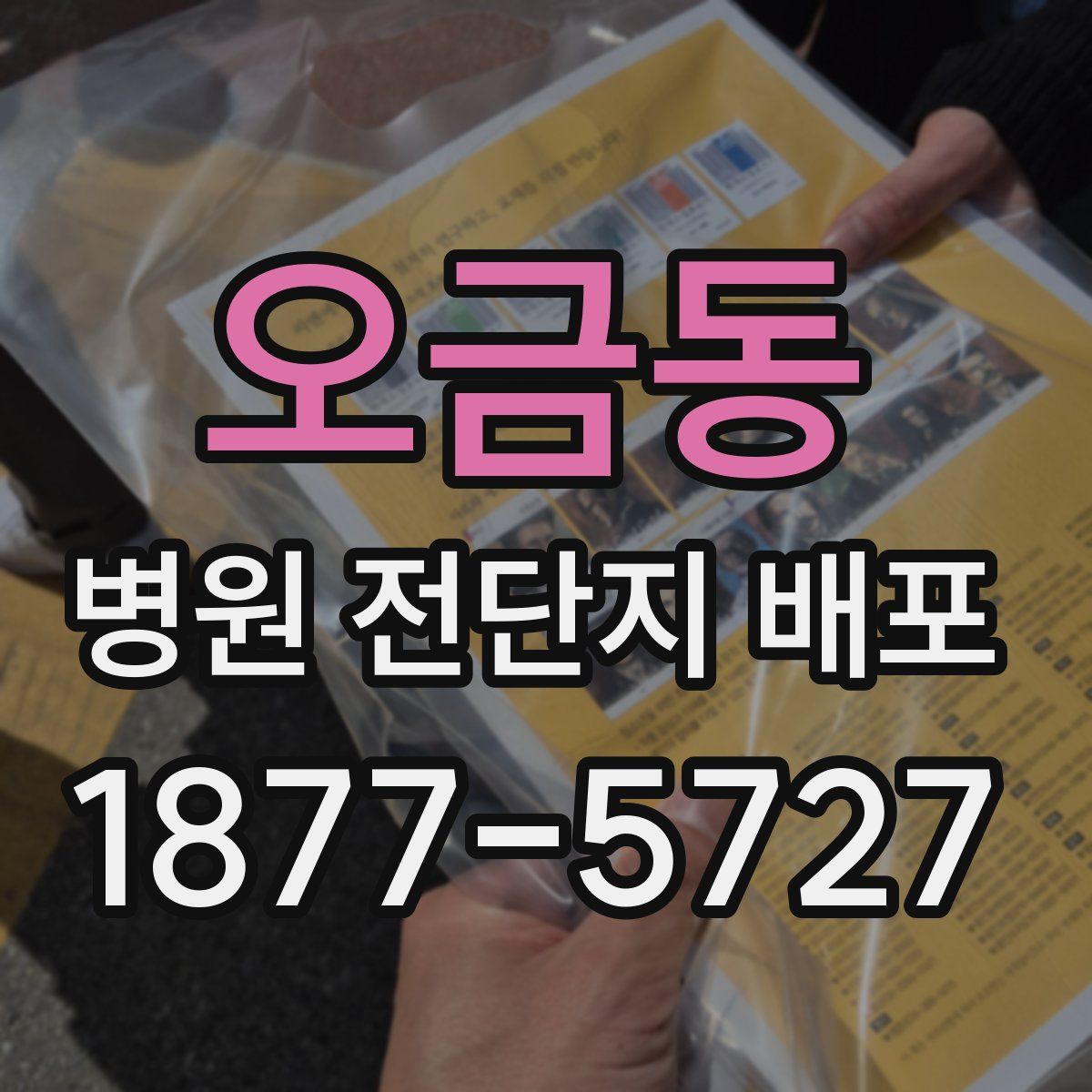 오금동 병원 전단지 배포
