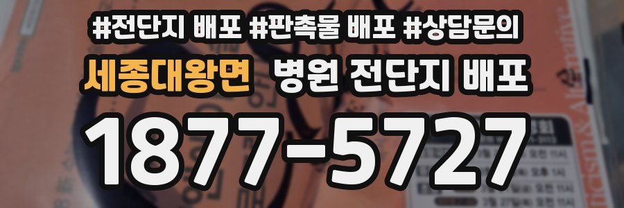세종대왕면 병원 전단지 배포