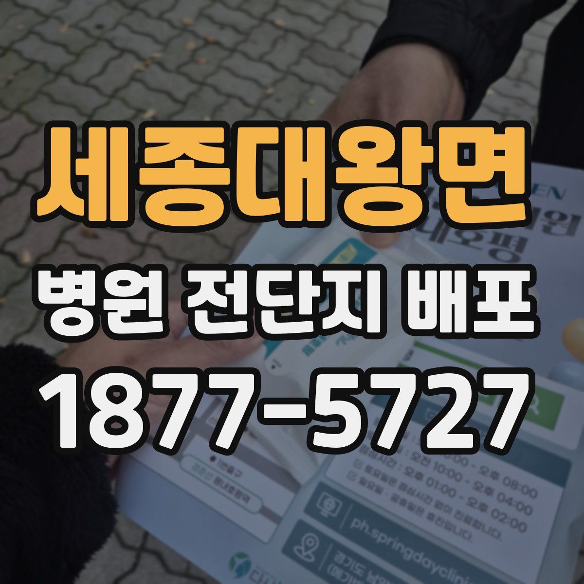 세종대왕면 병원 전단지 배포