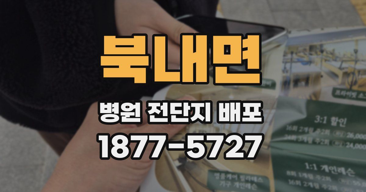 북내면 병원 전단지 배포