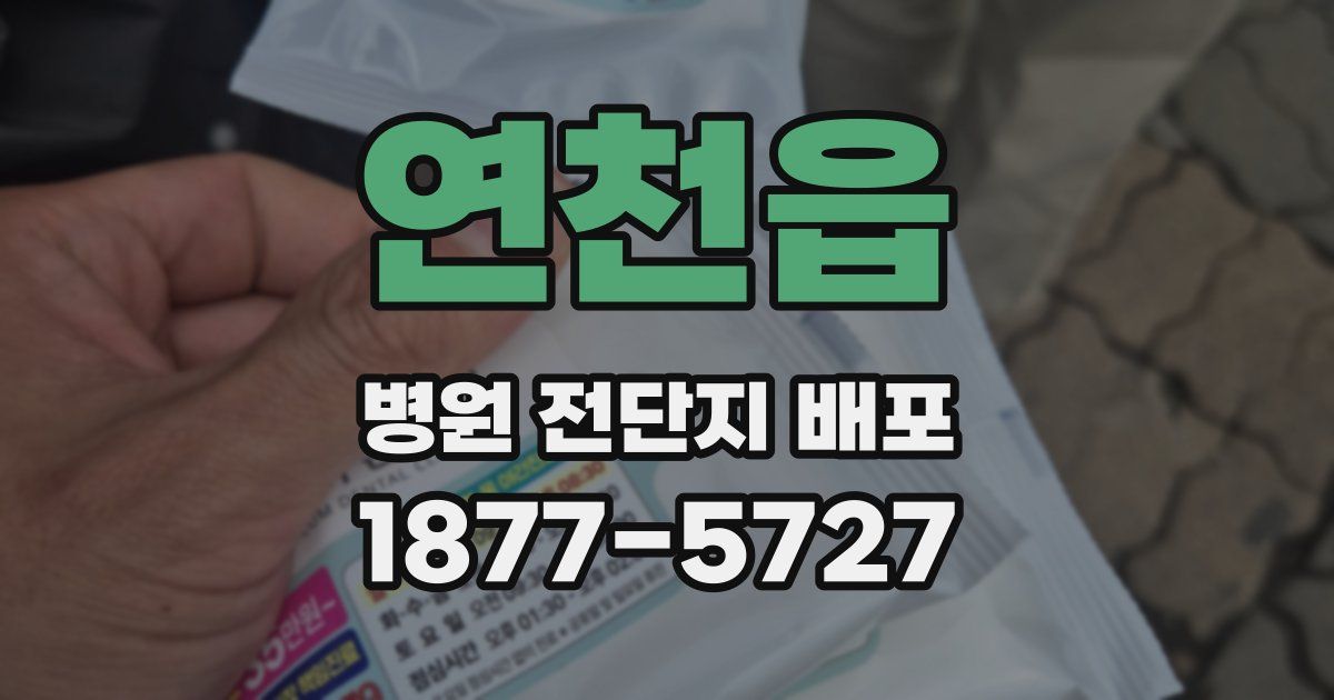 연천읍 병원 전단지 배포