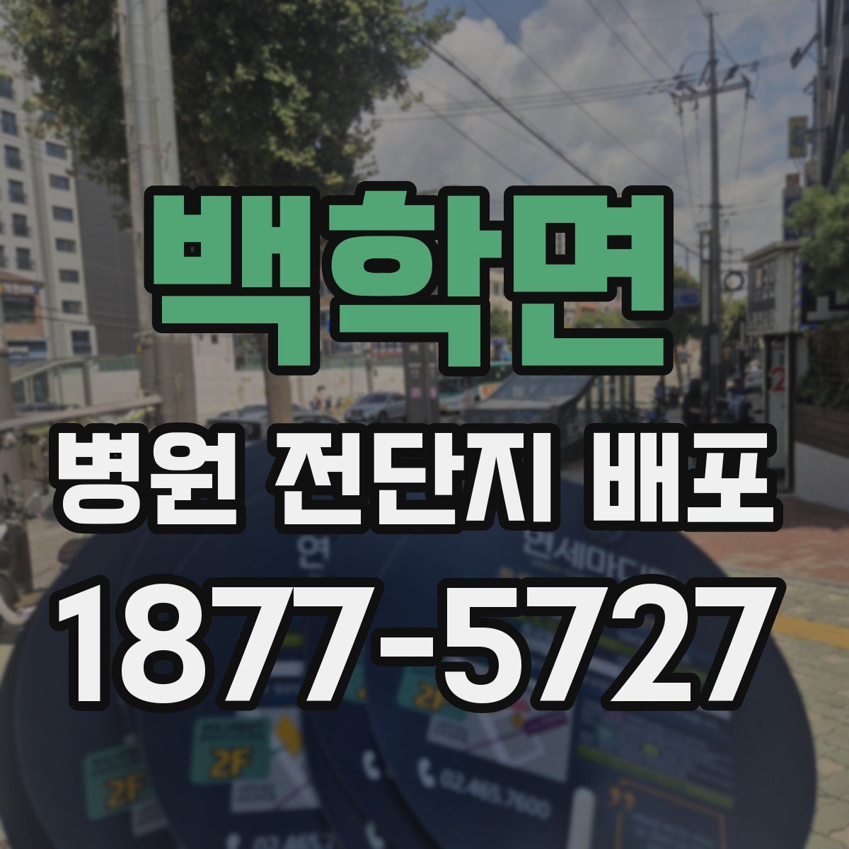 백학면 병원 전단지 배포