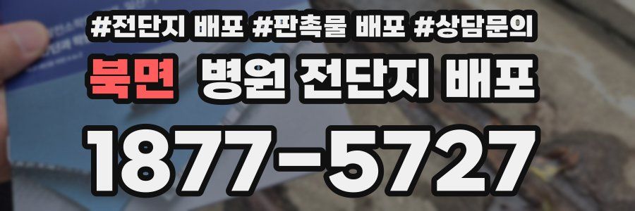 북면 병원 전단지 배포