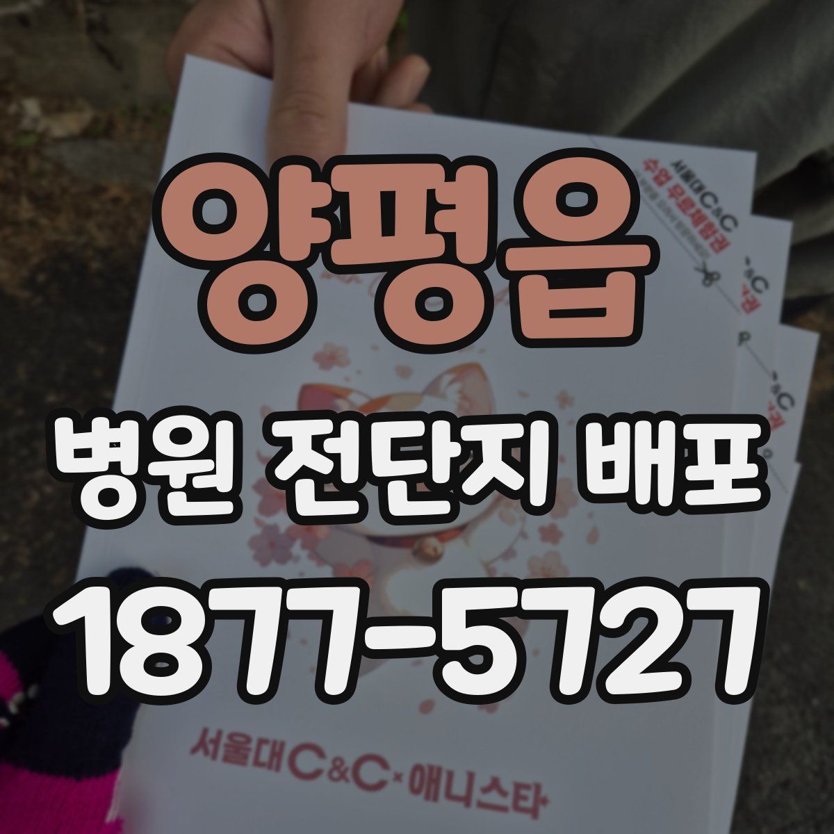 양평읍 병원 전단지 배포