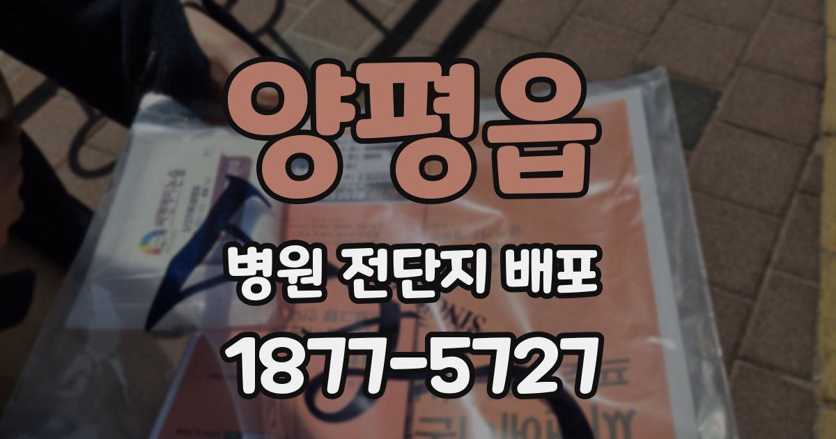 양평읍 병원 전단지 배포