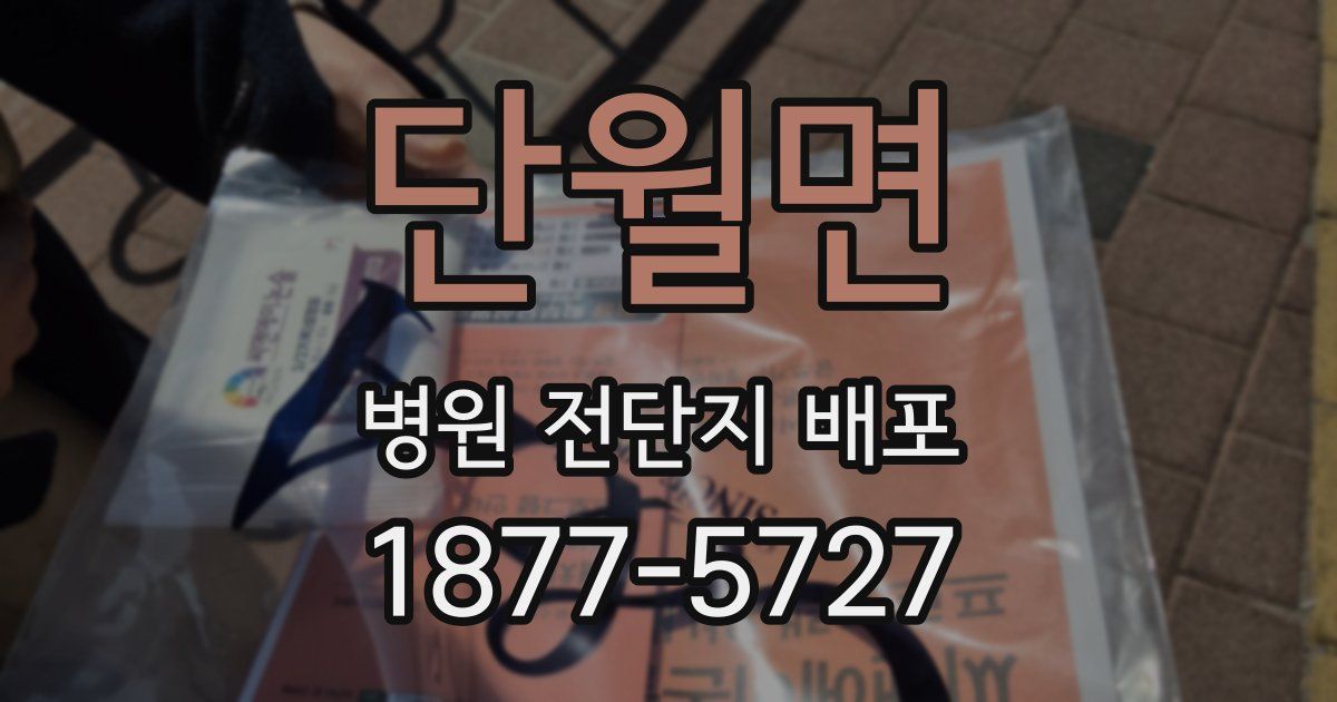 단월면 병원 전단지 배포
