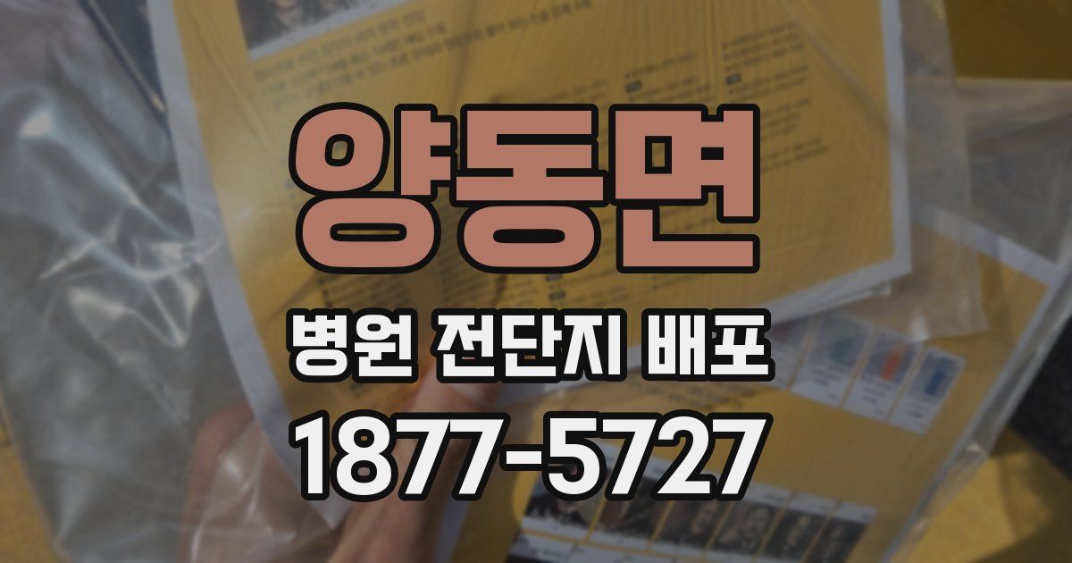 양동면 병원 전단지 배포