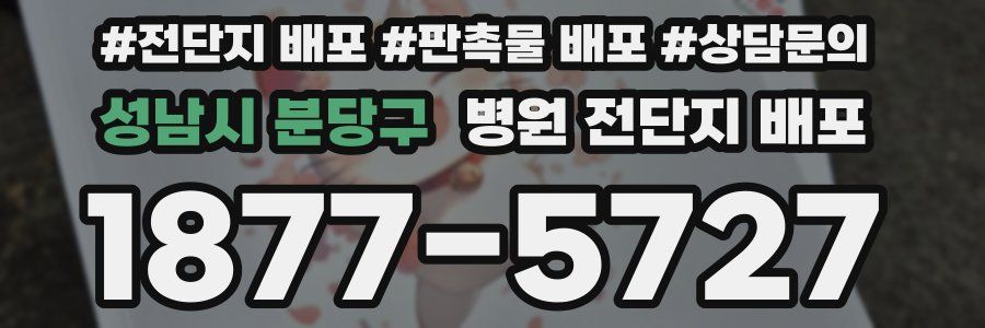 성남시 분당구 병원 전단지 배포