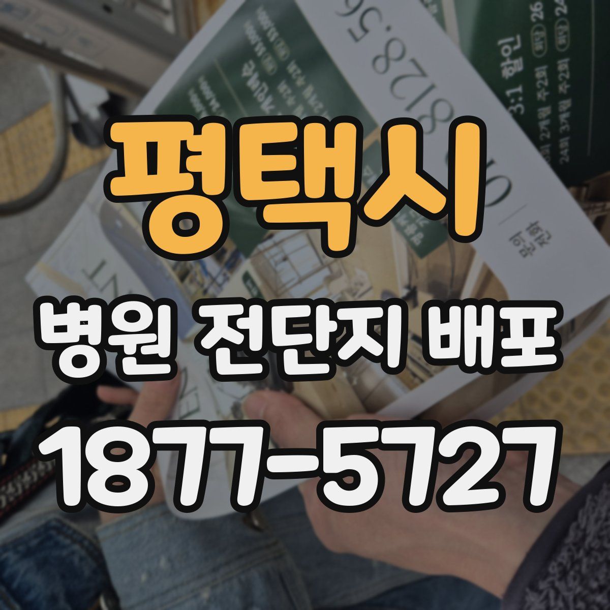 평택시 병원 전단지 배포