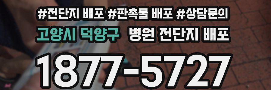 고양시 덕양구 병원 전단지 배포