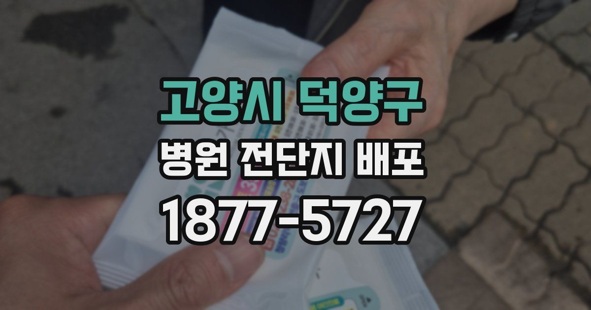 고양시 덕양구 병원 전단지 배포