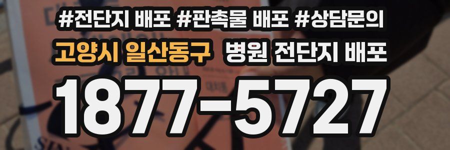 고양시 일산동구 병원 전단지 배포