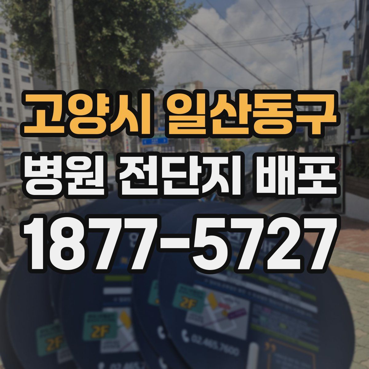 고양시 일산동구 병원 전단지 배포