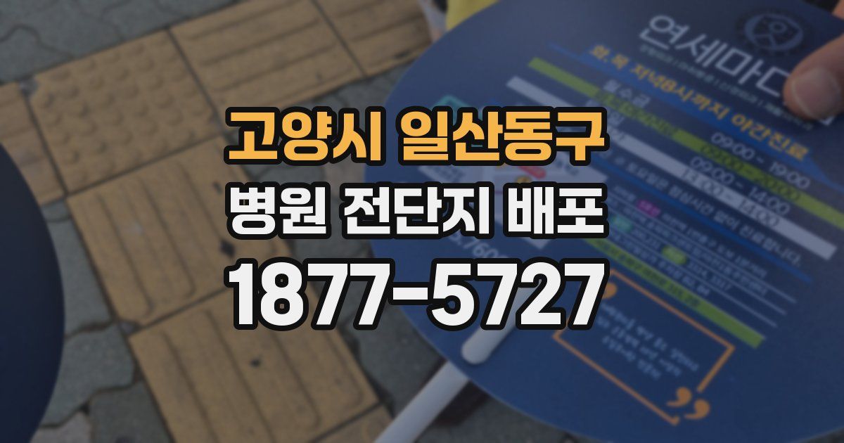 고양시 일산동구 병원 전단지 배포