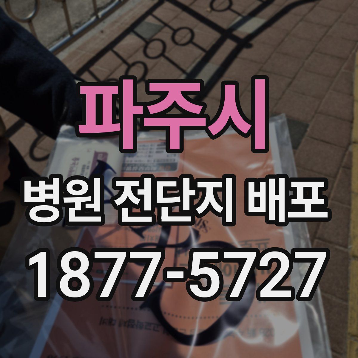 파주시 병원 전단지 배포