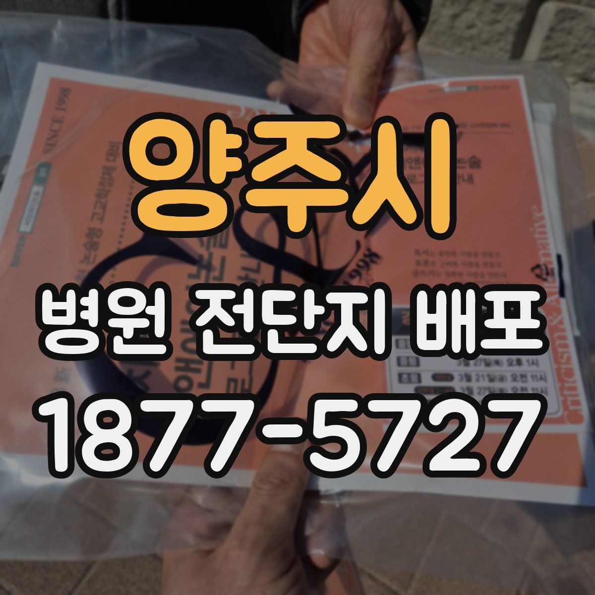 양주시 병원 전단지 배포