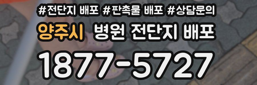 양주시 병원 전단지 배포