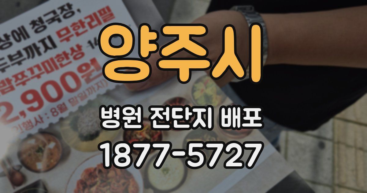양주시 병원 전단지 배포