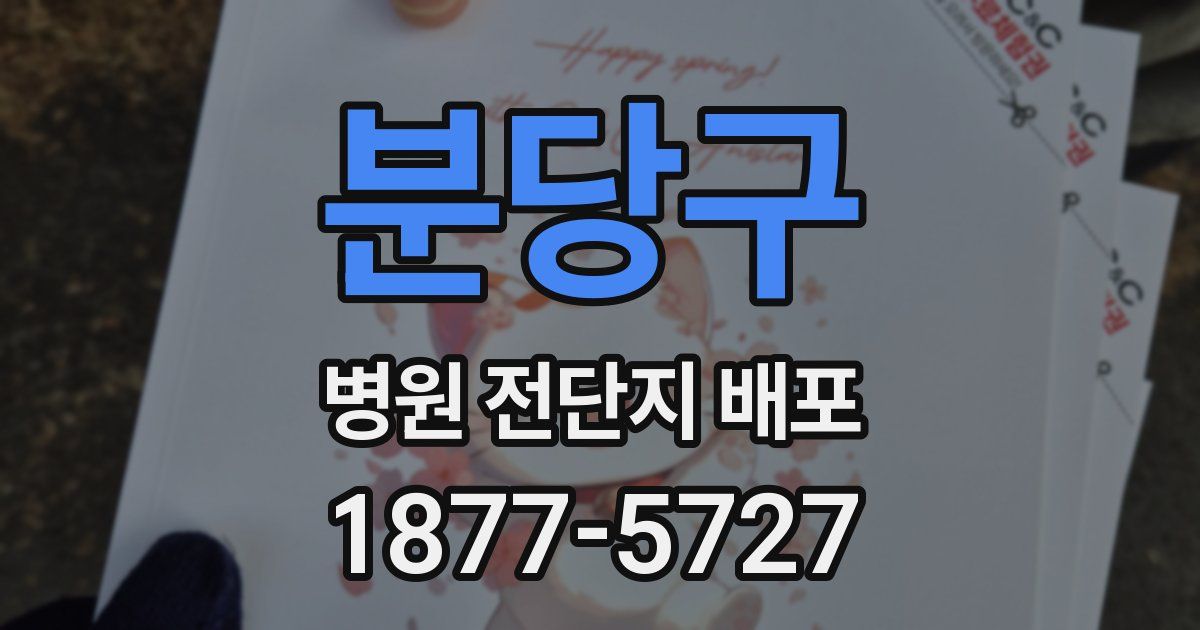 분당구 병원 전단지 배포