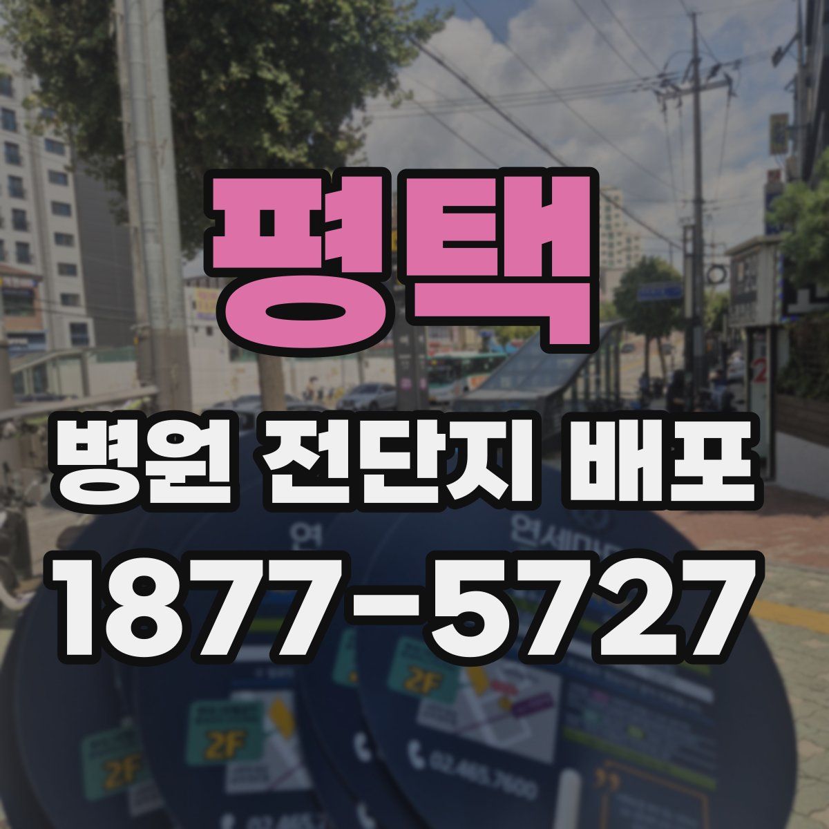 평택 병원 전단지 배포