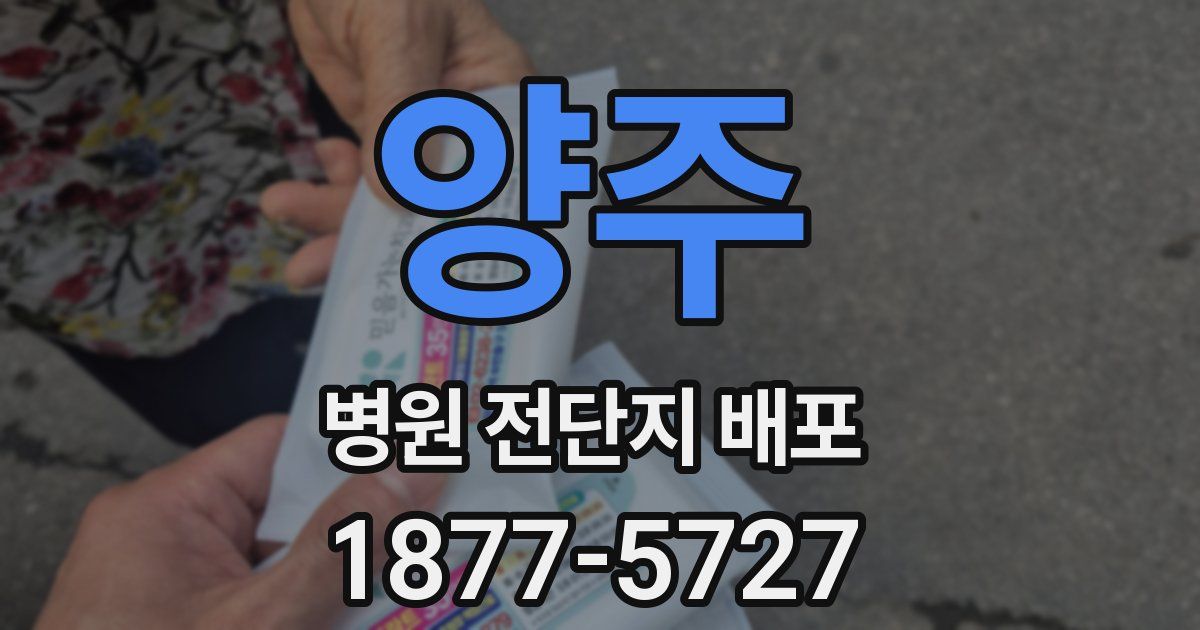 양주 병원 전단지 배포