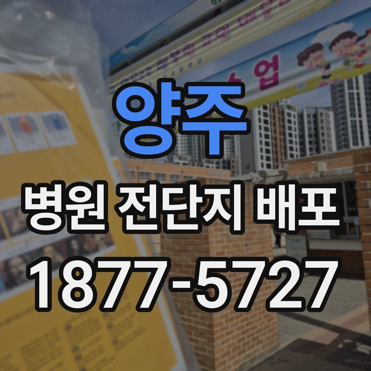양주 병원 전단지 배포
