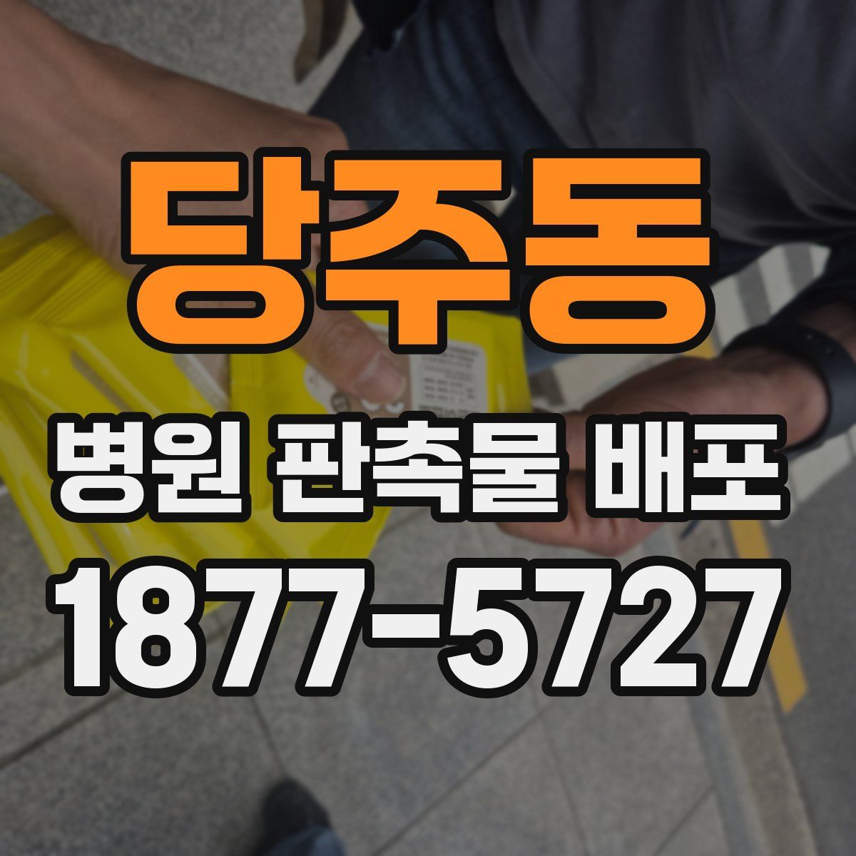당주동 병원 판촉물 배포