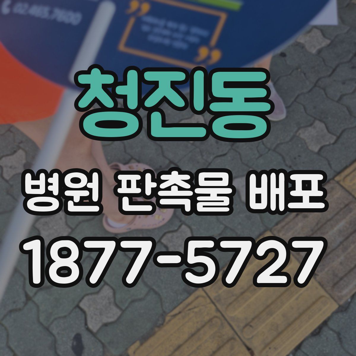 청진동 병원 판촉물 배포