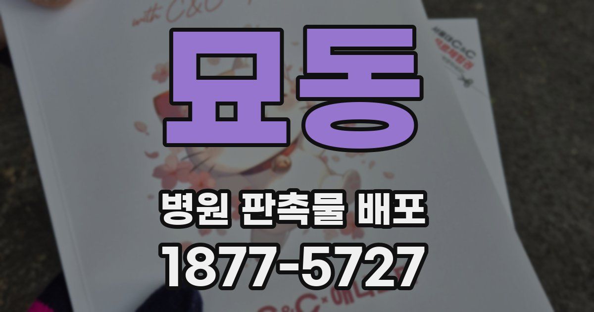묘동 병원 판촉물 배포