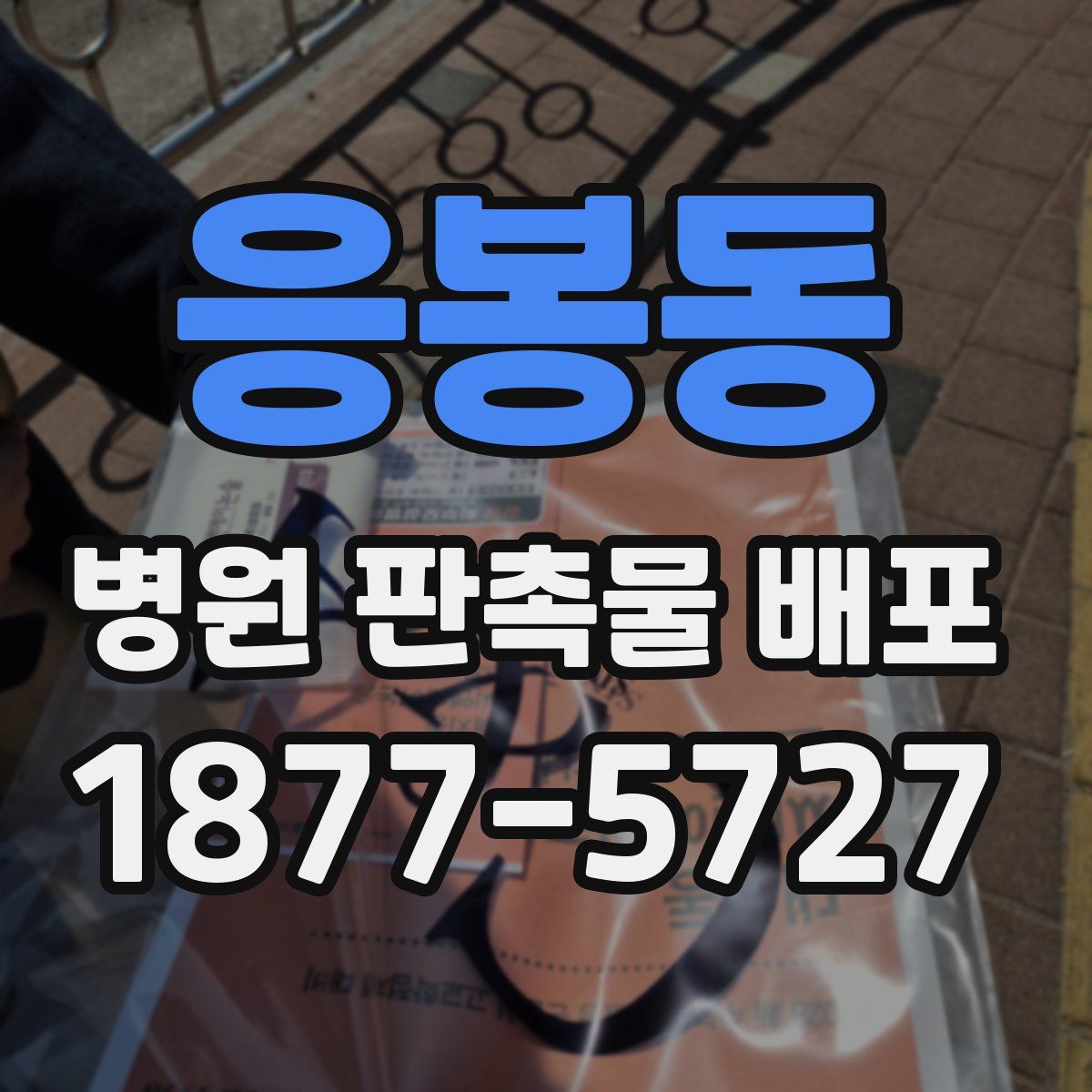 응봉동 병원 판촉물 배포