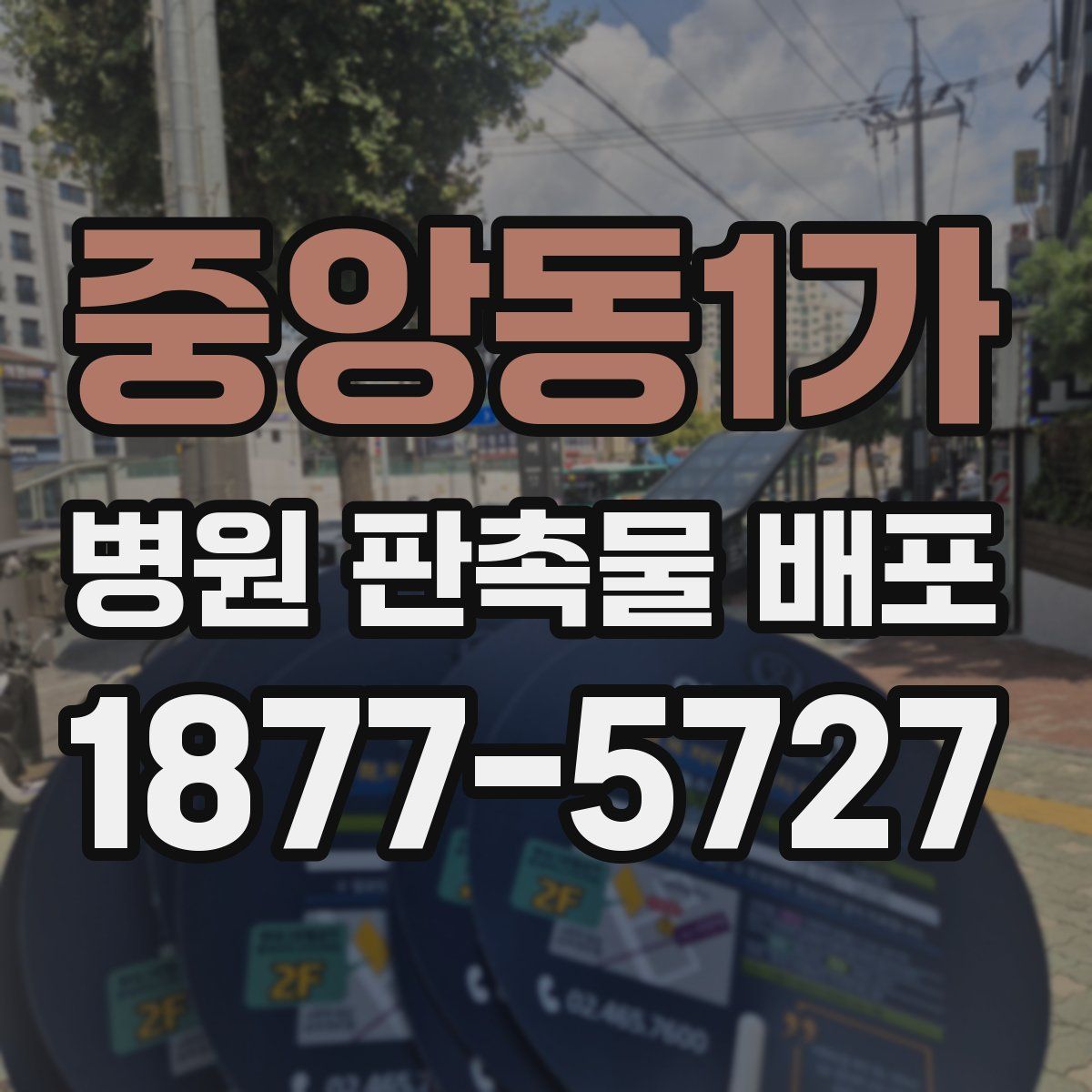 중앙동1가 병원 판촉물 배포